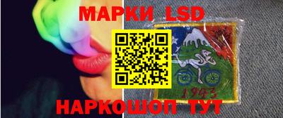 прущие грибы Будённовск