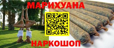 прущие грибы Будённовск
