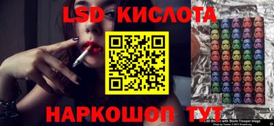 прущие грибы Будённовск