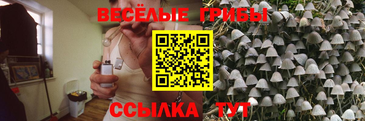 Юрга  купить наркотики цена  Вход с VPN  Псилоцибиновые грибы Magic Shrooms 