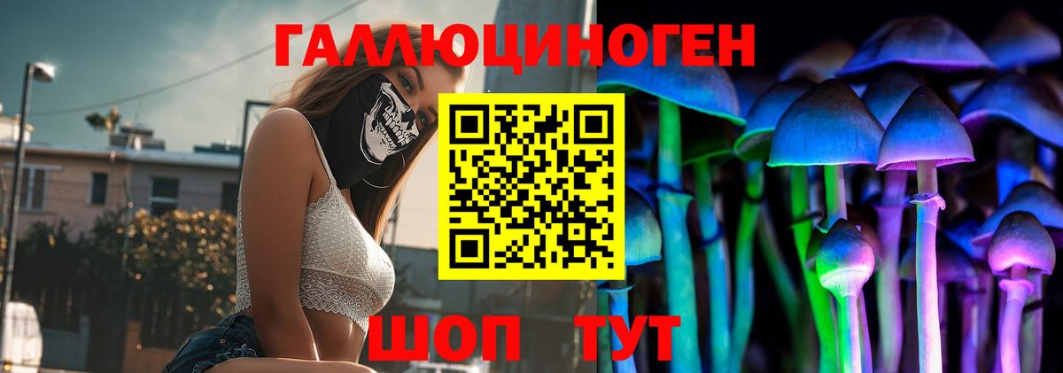 Галлюциногенные грибы Psilocybe Юрга